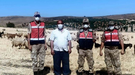 Kayıp çoban ve sürüsü 5 saat sonra bulundu