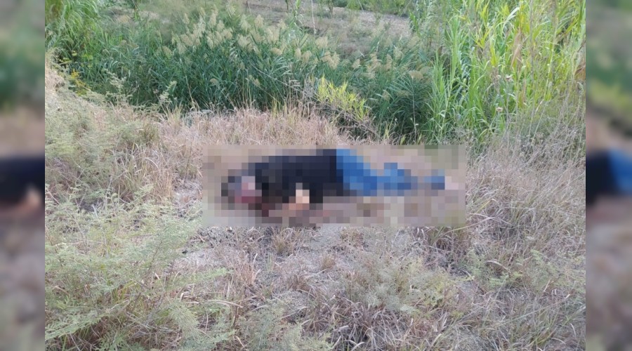 Kay�p gen� tarlada �l� bulundu
