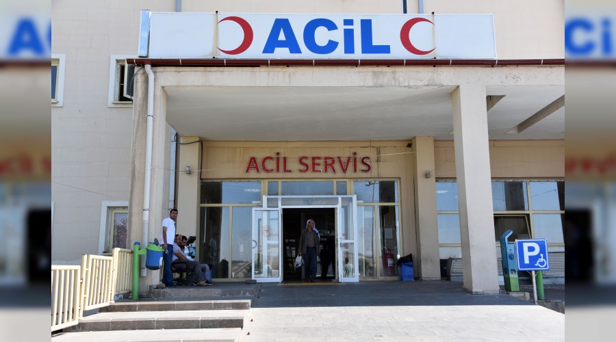 Kazara ağabeysini vurdu