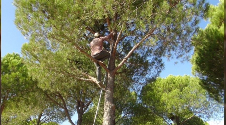 Kilosunu 300 TL'den sat�yorlar