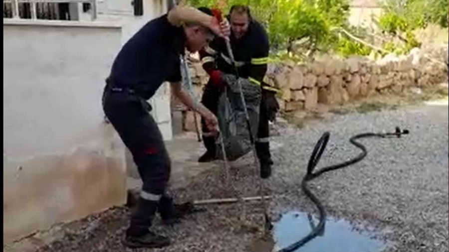 Kırıkkale'de 2 metrelik yılan paniği