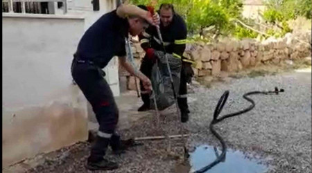 Kırıkkale'de 2 metrelik yılan paniği