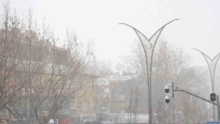 Kırşehir'de kar yağışı etkili oldu