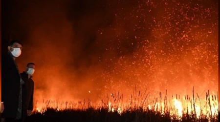 Kocaeli'de askeri arazi yakınında yangın