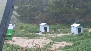 Köpekler ölüyor, insanlar korkuyor