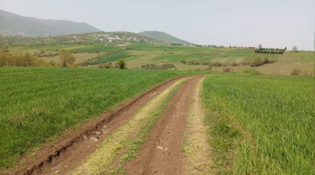 Kuraklık tehlikesi geçmedi
