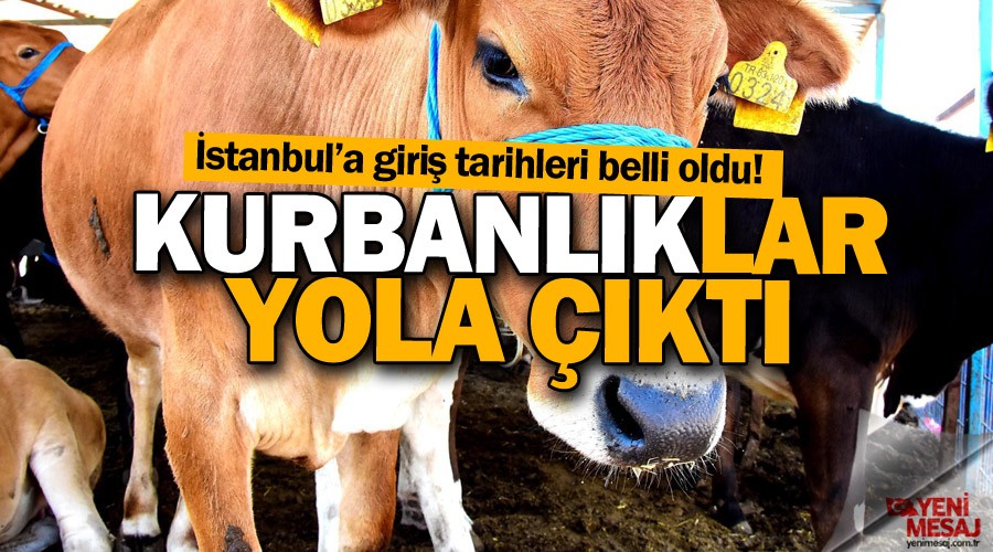 Kurbanl�klar�n �stanbul'a giri� tarihi a��kland�