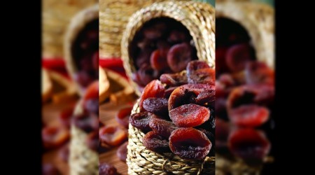 Kuru kayısıda ihracat iyi gidiyor