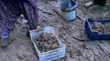 Kurumaya bırakılan kayısılar sele kapıldı
