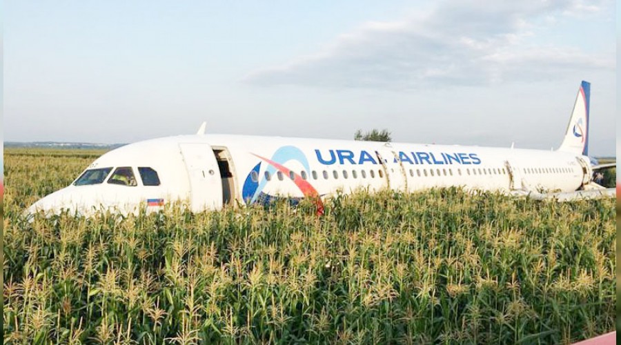 Kuş sürüsüne çarpan yolcu uçağı tarlaya indi
