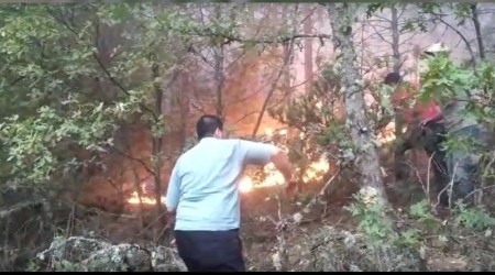 Kütahya'daki orman yangınında 3 hektarlık alan yandı