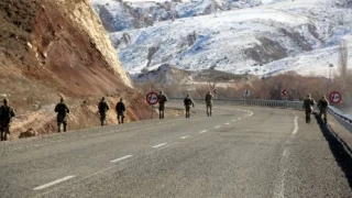 Madımak toplarken kaybolan 90 yaşındaki adam aranıyor