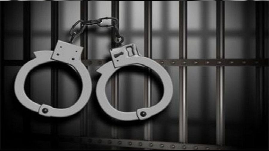 Mahkeme 'pitbullu' silah sayd�... Sahibine 2,5 y�l hapis cezas�