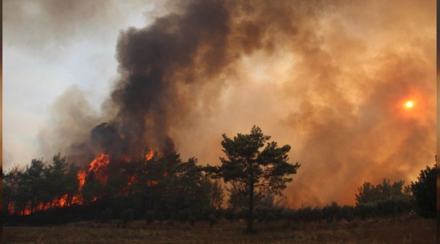 Manavgat'ta alevler yeniden metrelerce y�kseldi