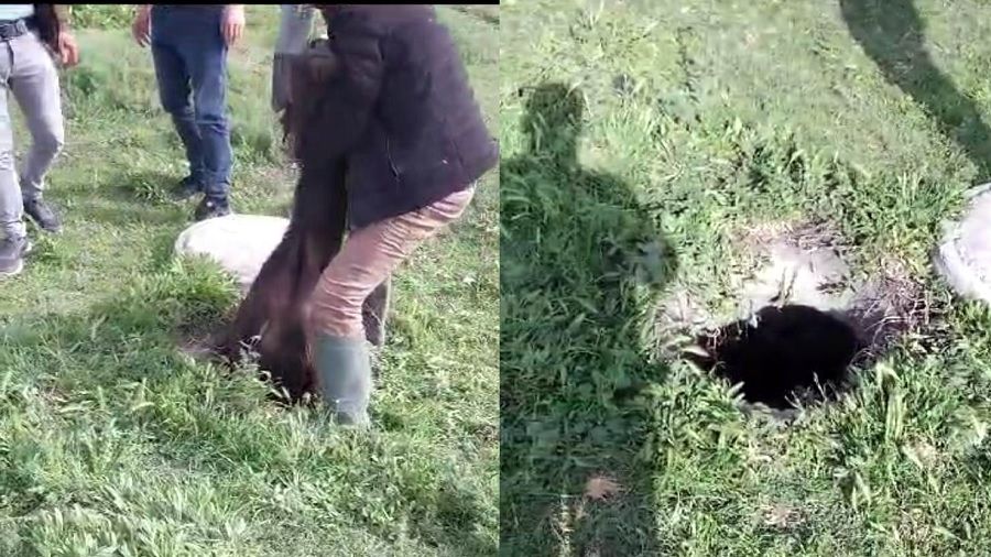 Mantar toplamaya giden vatanda�lar �ok oldu