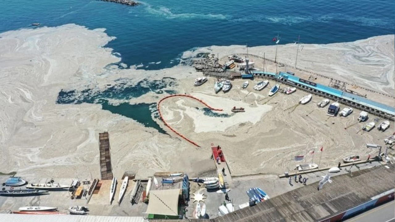 Marmara'da 'müsilaj' tehlikesi yeniden gündemde