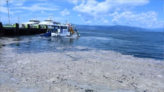 Marmara'da musilaj yine uç verdi