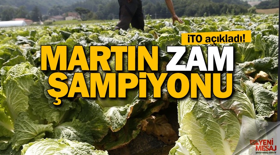 Martın zam şampiyonu lahana