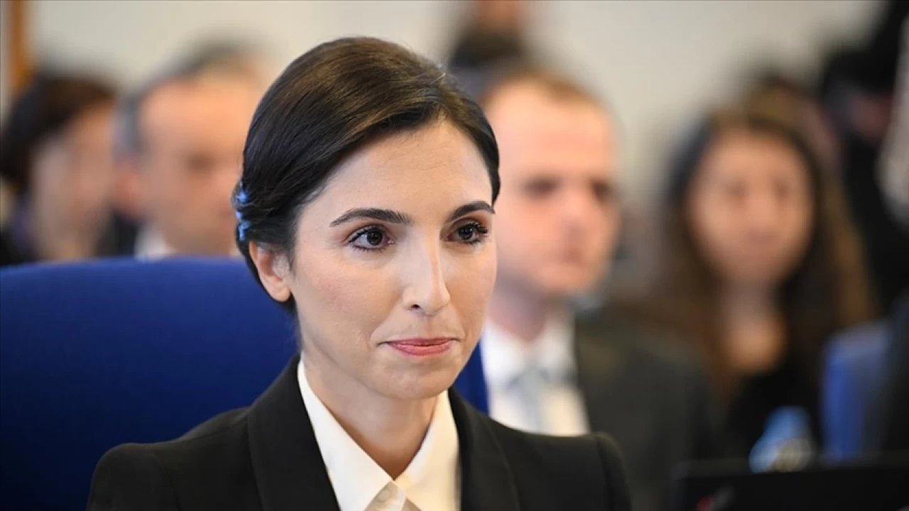 Merkez Bankası Başkanı Hafize Gaye Erkan görevden affını istedi