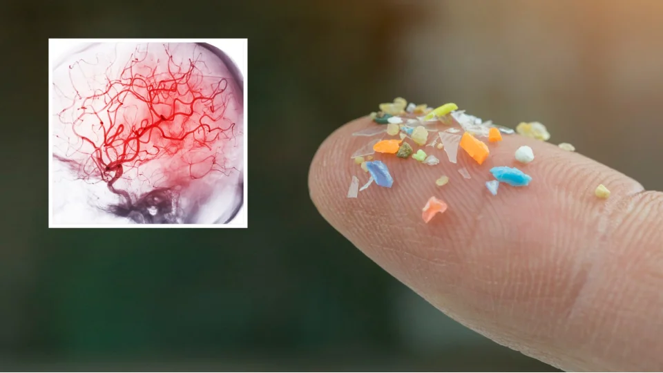 Mikroplastikler kanımıza kadar girdi! Nasıl korunacağız?
