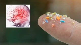Mikroplastikler kanımıza kadar girdi! Nasıl korunacağız?