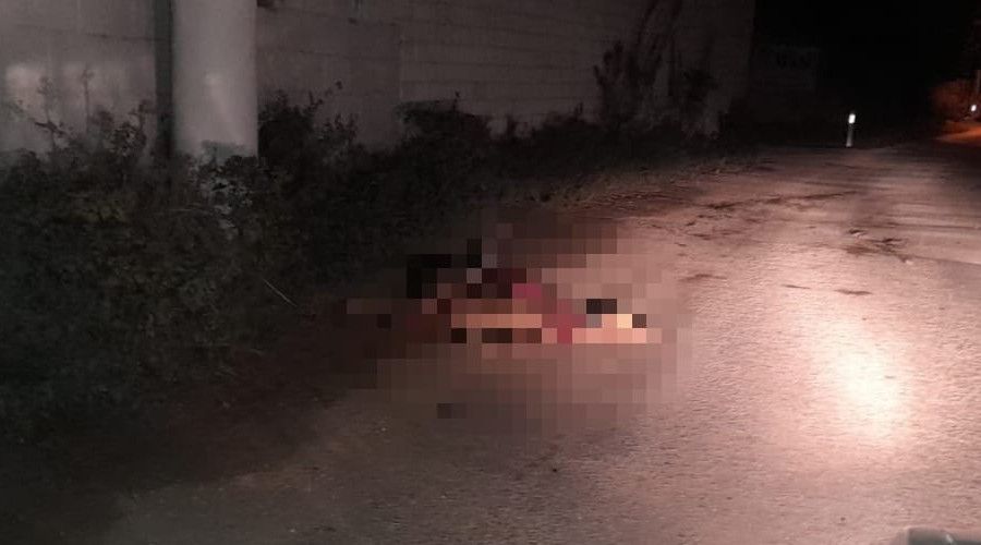 Minibüs sürüye daldı: 10 hamile koyun telef oldu