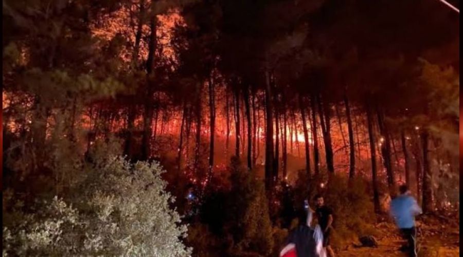 Mu�la'da yang�nlar�n biri bitiyor di�eri ba�l�yor