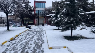 Muradiye'de kar ya