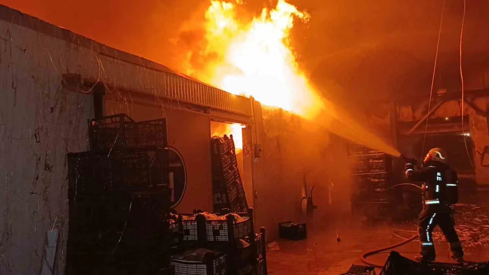 Muz paketleme tesisinde ��kan yang�n korkuttu