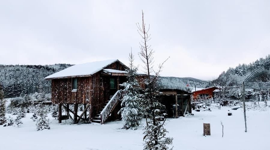 Nisan ay�nda kar s�rprizi