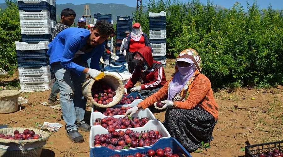 O �lkelerin eri�i Hatay�dan