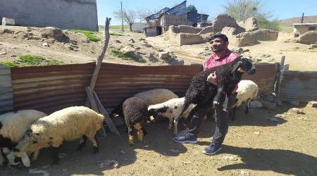 Öğretmen sahip çıktı, sahibini arıyor