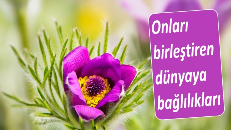 Onları birleştiren dünyaya bağlılıkları