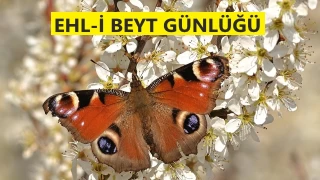 Onu yanında taşıyan beladan uzak olur'