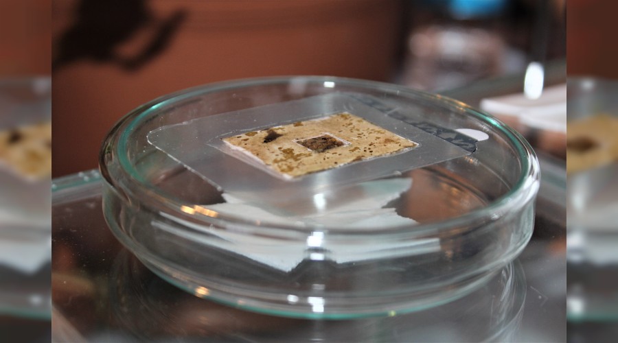 Organik yara band� �retildi 