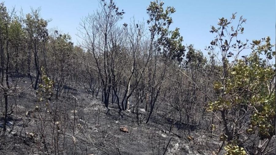 Orman yangın 18 saat sonra kontrol altına alınabildi