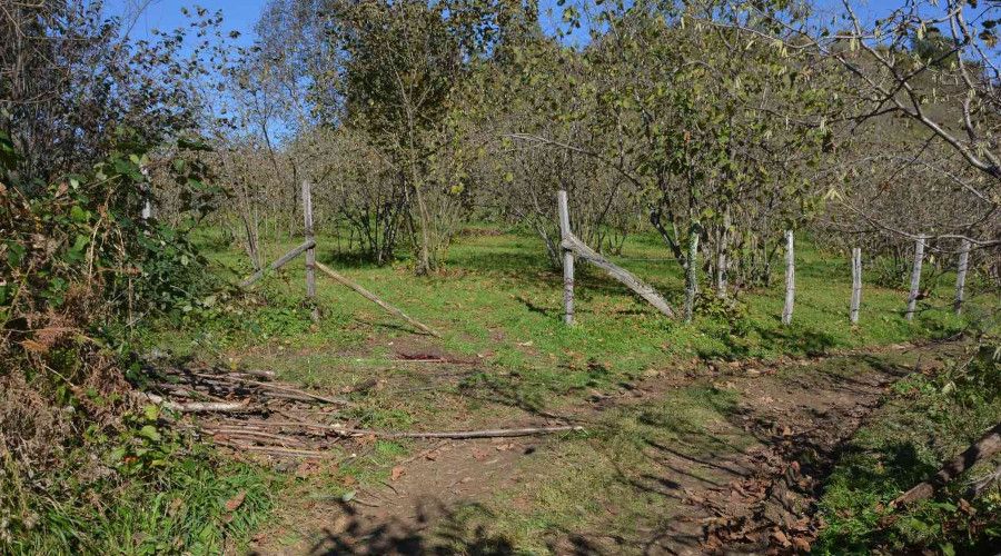 Otlatma tart��mas� kanl� bitti: 1 �l�