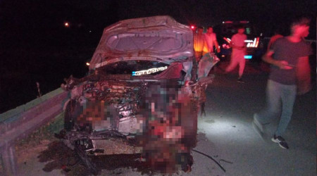 Otomobil sürüye çarptı: 26 hayvan telef oldu