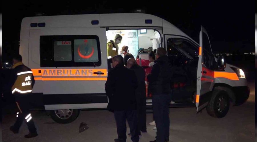 Otomobil yola fırlayan domuza çarptı