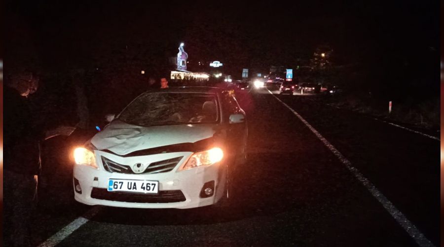 Otomobilin çarptığı 2 kadın hayatını kaybetti