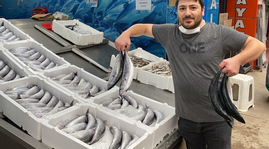 Palamut dar gelirlinin y�z�n� g�ld�r�yor