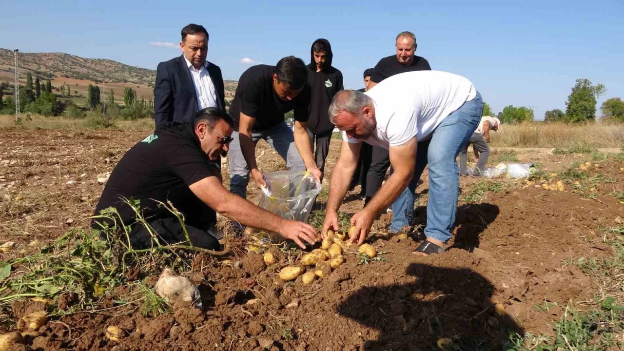 Patates üreticileri tarla satış fiyatını düşük buldu