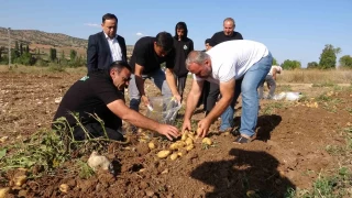 Patates üreticileri tarla satış fiyatını düşük buldu