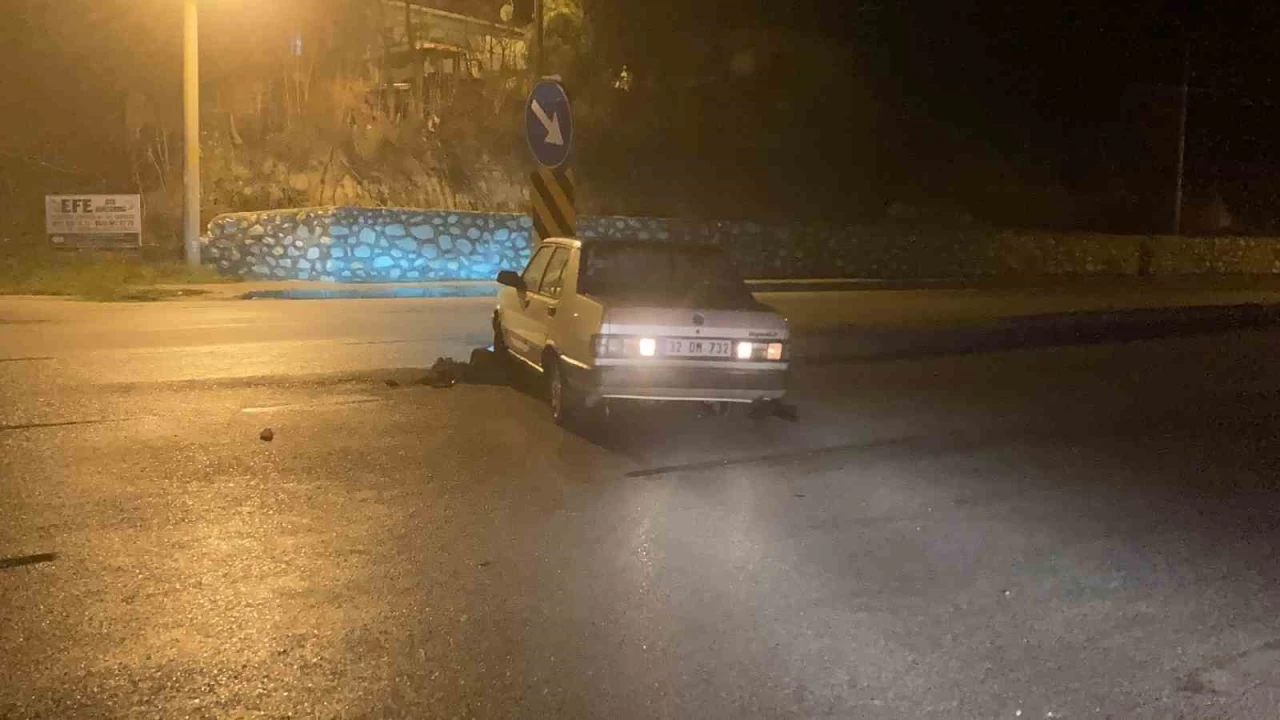 Polisten kaçan alkollü sürücü kaza yaptı