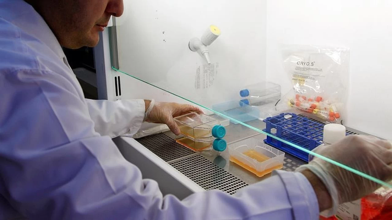 Prostat sa�l��� i�in kontrol �nemli