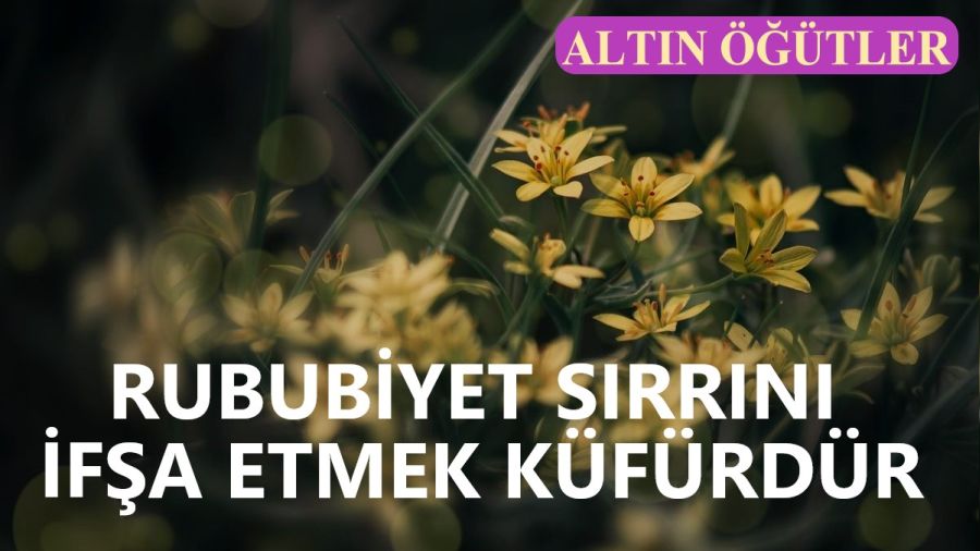 ‘Rububiyet sırrını ifşa etmek küfürdür’