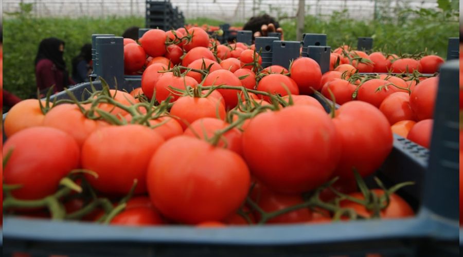 Rusya'nın müdahalesi Türkiye'nin ihracatını sarsıyor