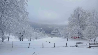 Sakarya'da aynı anda iki mevsim yaşanıyor