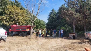 Sakarya'daki orman yangn kontrol altna alnd