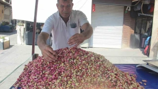 Şanlıurfa'da yeni mahsul fıstık tezgahlardaki yerini aldı